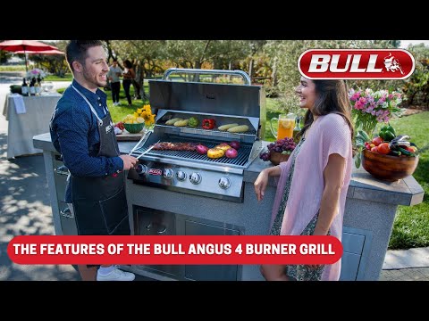Bull Angus 30-Inch 4-Burner Built-In Gas Grill With Rear Infrared Burner & Rotisserie Kit