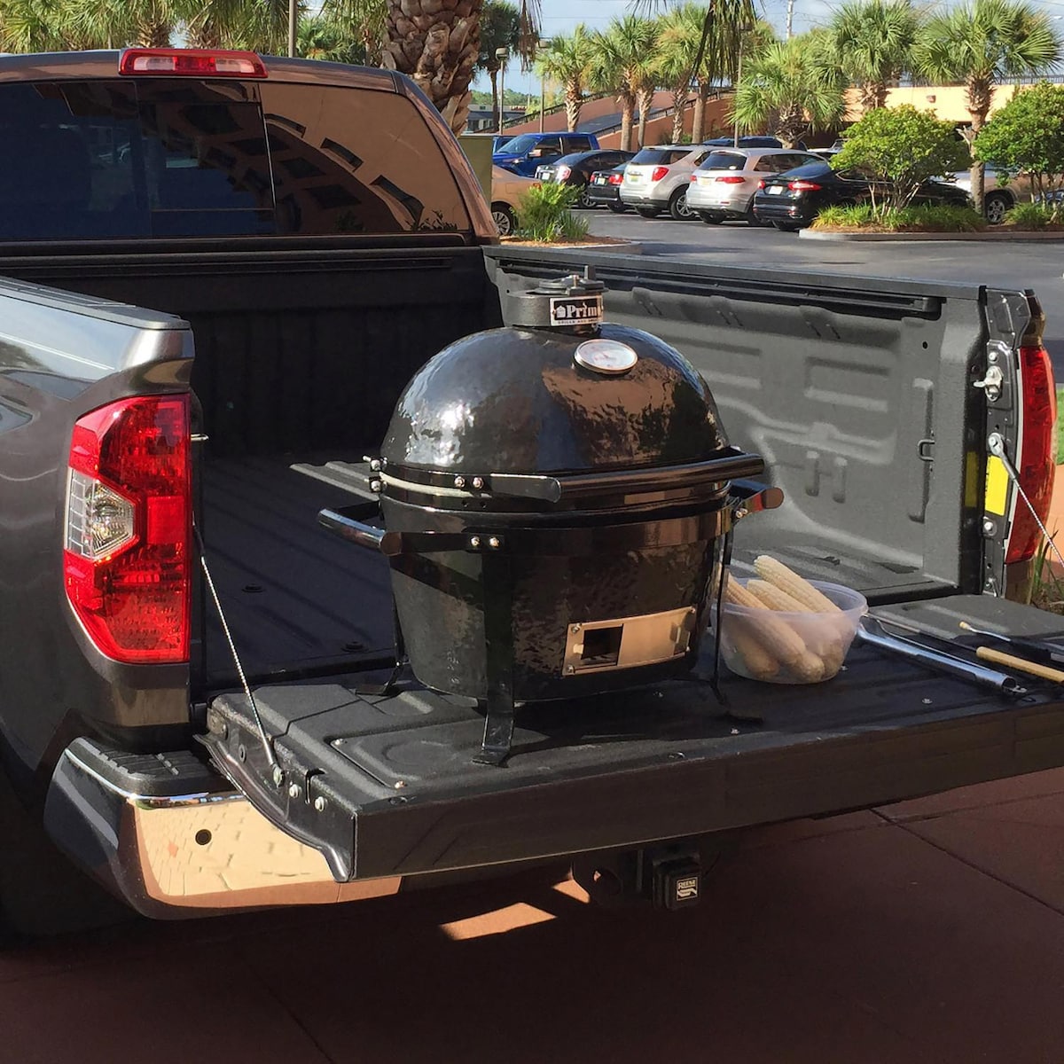 Primo GO Portable Carrier For Oval Junior
