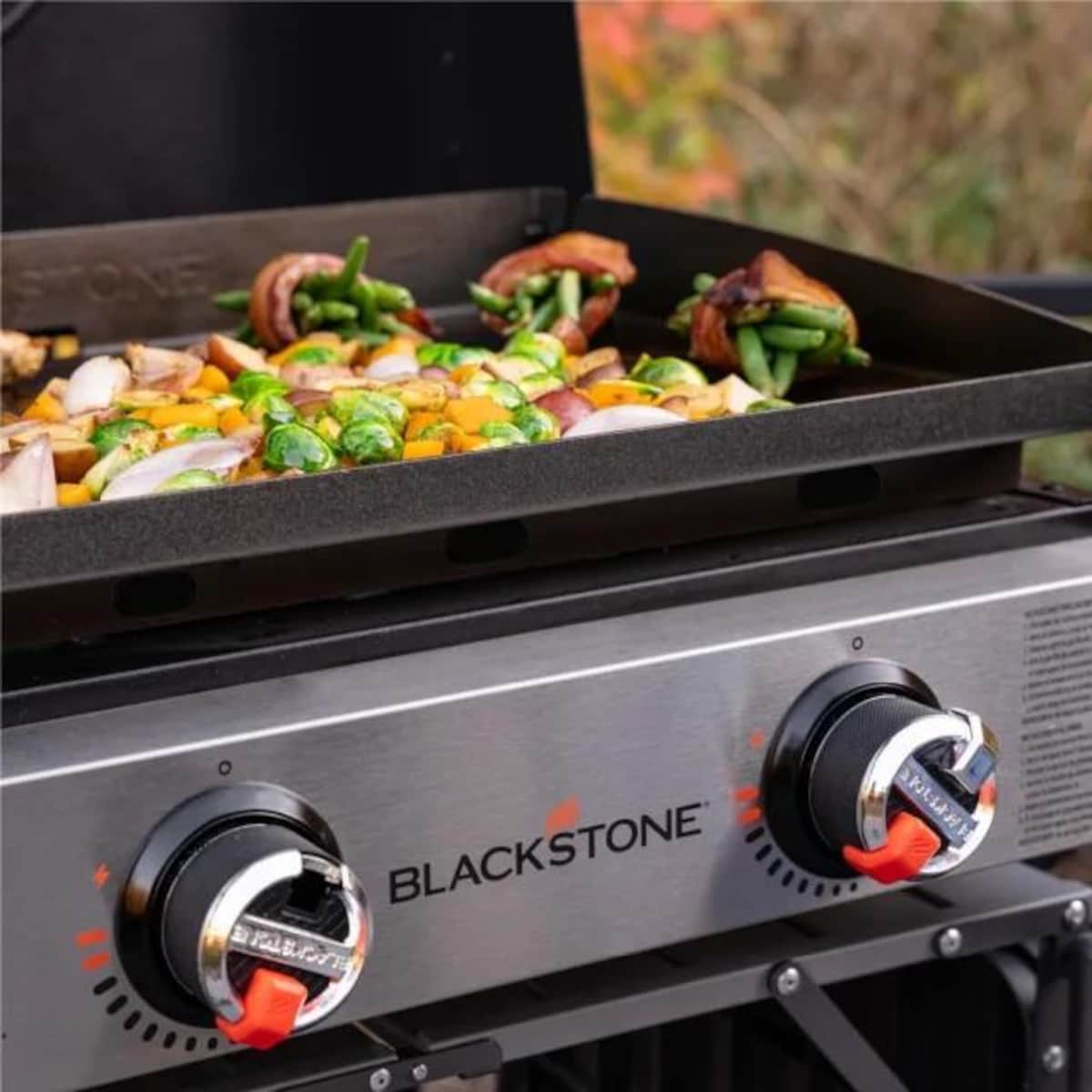Blackstone 22 Inch Griddle W/ Hood - 2205