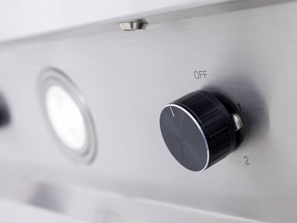 Blaze 42-Inch Stainless Steel Outdoor Vent Hood - 2000 CFM