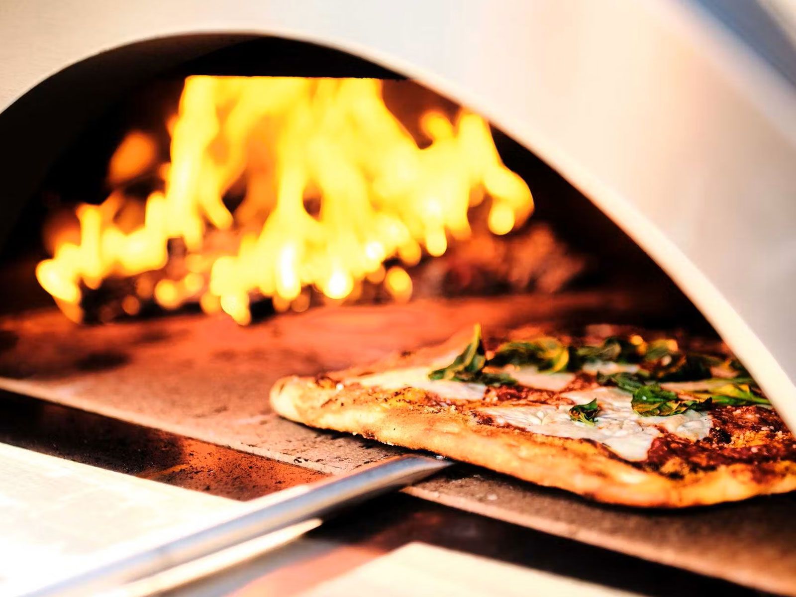 coyote 40-inch duomo wood-fired pizza oven - copper