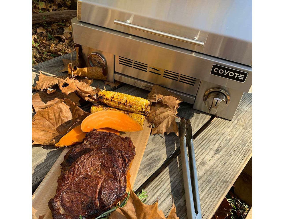 Parrilla portátil de propano de acero inoxidable Coyote de 25 pulgadas 