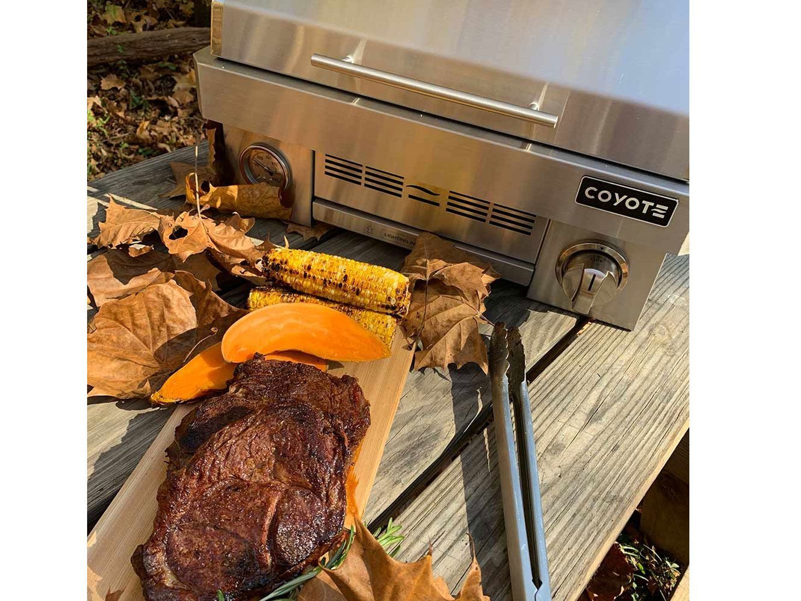 Parrilla portátil de propano de acero inoxidable Coyote de 25 pulgadas 