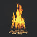 Warming Trends Brass Gas Burner